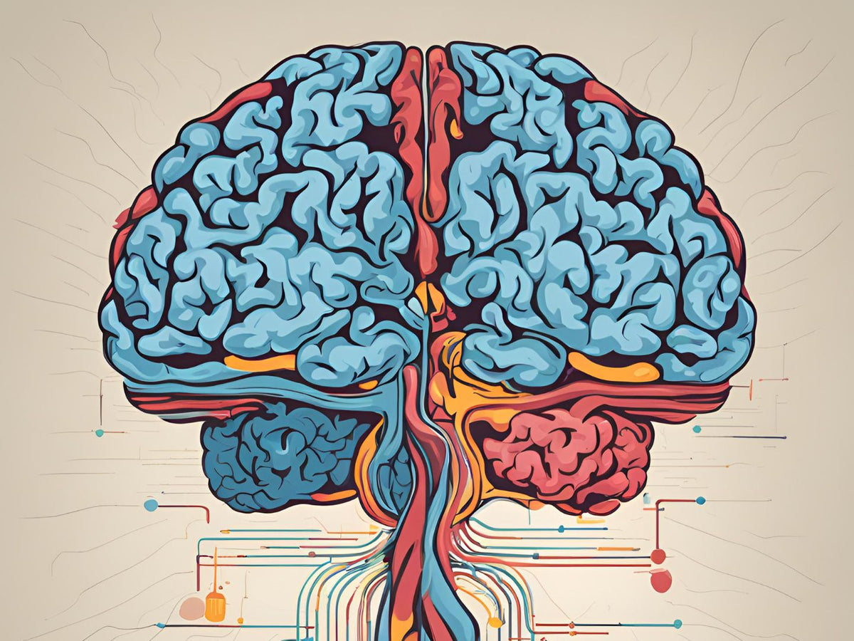 Left Brain vs Right Brain Development in Early Childhood