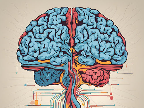 Left Brain vs Right Brain