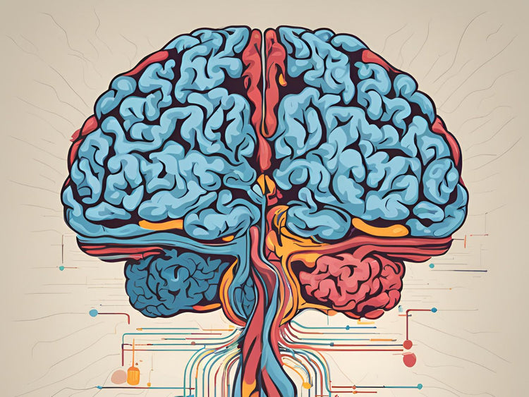 Left Brain vs Right Brain