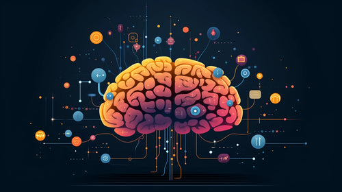 how much percent do we use our brain